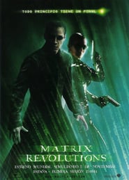 Poster for the movie "Matrix Revolutions"