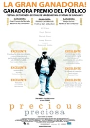Poster for the movie "Precious"