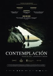 Poster for the movie "Contemplación"